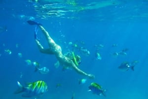 Cabo San Lucas Arch and Snorkeling, Playa Pelicano, Playa del Amor