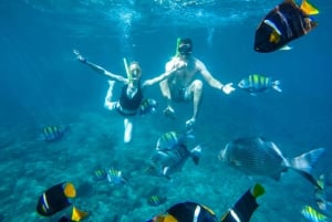 Cabo San Lucas Arch and Snorkeling, Playa Pelicano, Playa del Amor