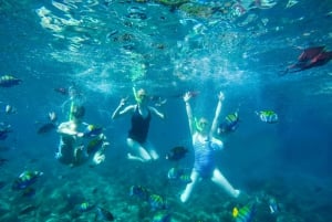 Cabo San Lucas Arch and Snorkeling, Playa Pelicano, Playa del Amor