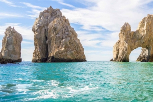 Cabo San Lucas Arch Tour and Down to Love Beach