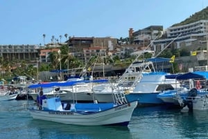 Cabo San Lucas: Arch Tour Barco con fondo de cristal