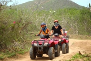 Cabo San Lucas: ATV Beach & Desert Tour with Tequila Tasting