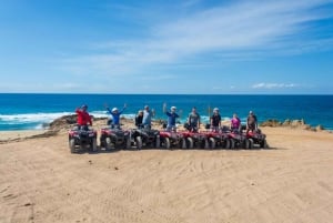 Cabo San Lucas: ATV Beach & Desert Tour with Tequila Tasting