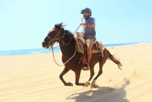 Cabo San Lucas: ATV/Camel/Horse Combo Tour