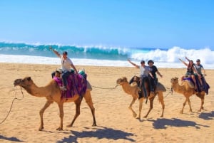 Cabo San Lucas: ATV/Camel/Horse Combo Tour