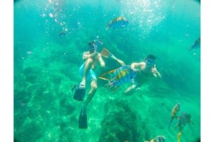 Cabo San Lucas: Excursión de snorkel en grupo reducido Beach Hopper