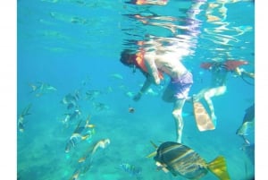 Cabo San Lucas: Excursión de snorkel en grupo reducido Beach Hopper