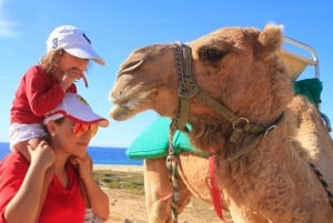 Cabo San Lucas: Combo de paseo en camello y aventura en UTV todoterreno