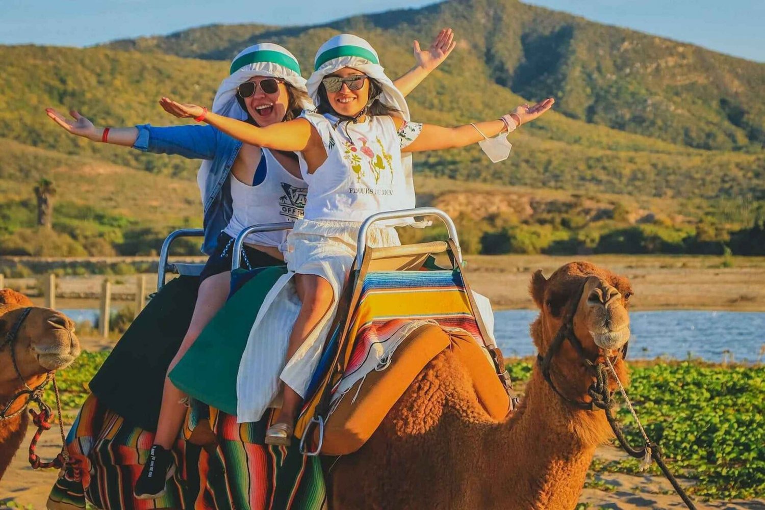 Cabo San Lucas: Paseo en camello por la playa