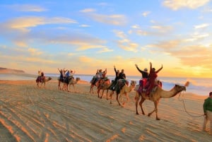 Cabo San Lucas: Paseo en camello por la playa