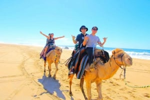 Cabo San Lucas: Paseo en camello por la playa