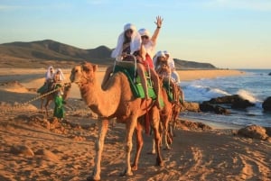 Cabo San Lucas: Paseo en camello por la playa