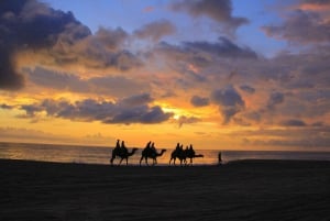 Cabo San Lucas: Paseo en camello por la playa