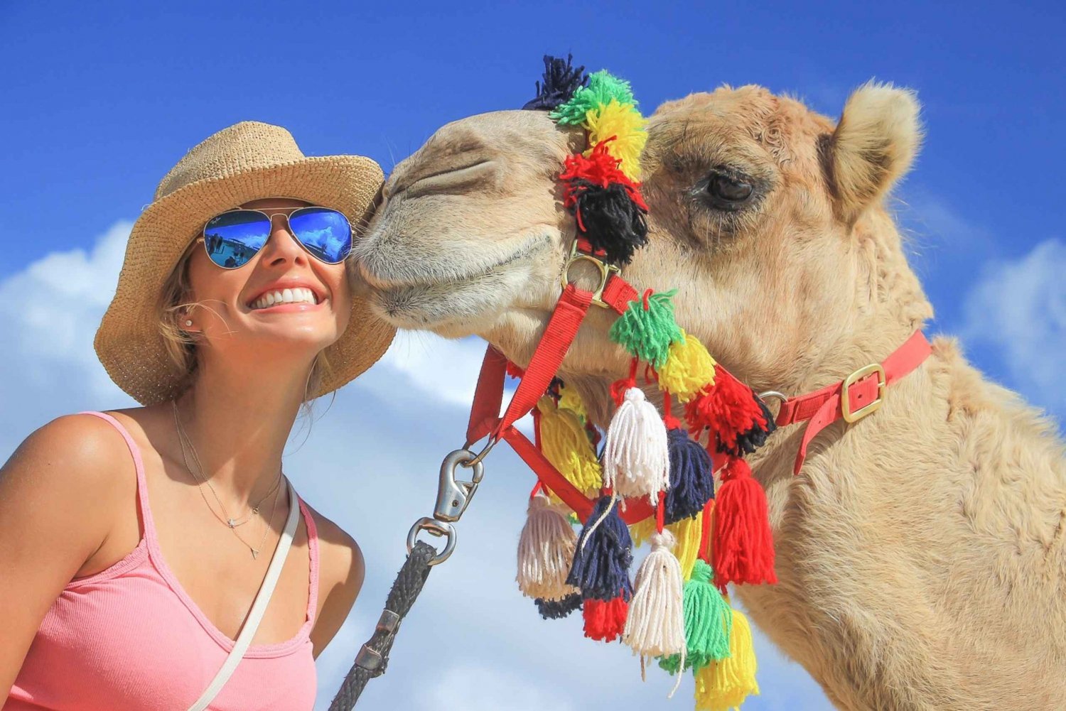 Cabo San Lucas: Camel Safari Adventure and Eco Farm Visit