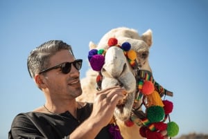 Cabo San Lucas: Excursión Safari en Camello con Comida y Tequila