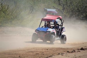 Cabo San Lucas: Candelaria Razor Tour and Tequila Tasting