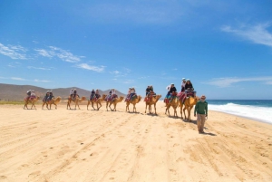 Cabo San Lucas: Combo Camel Ride & Off-Road UTV Adventure