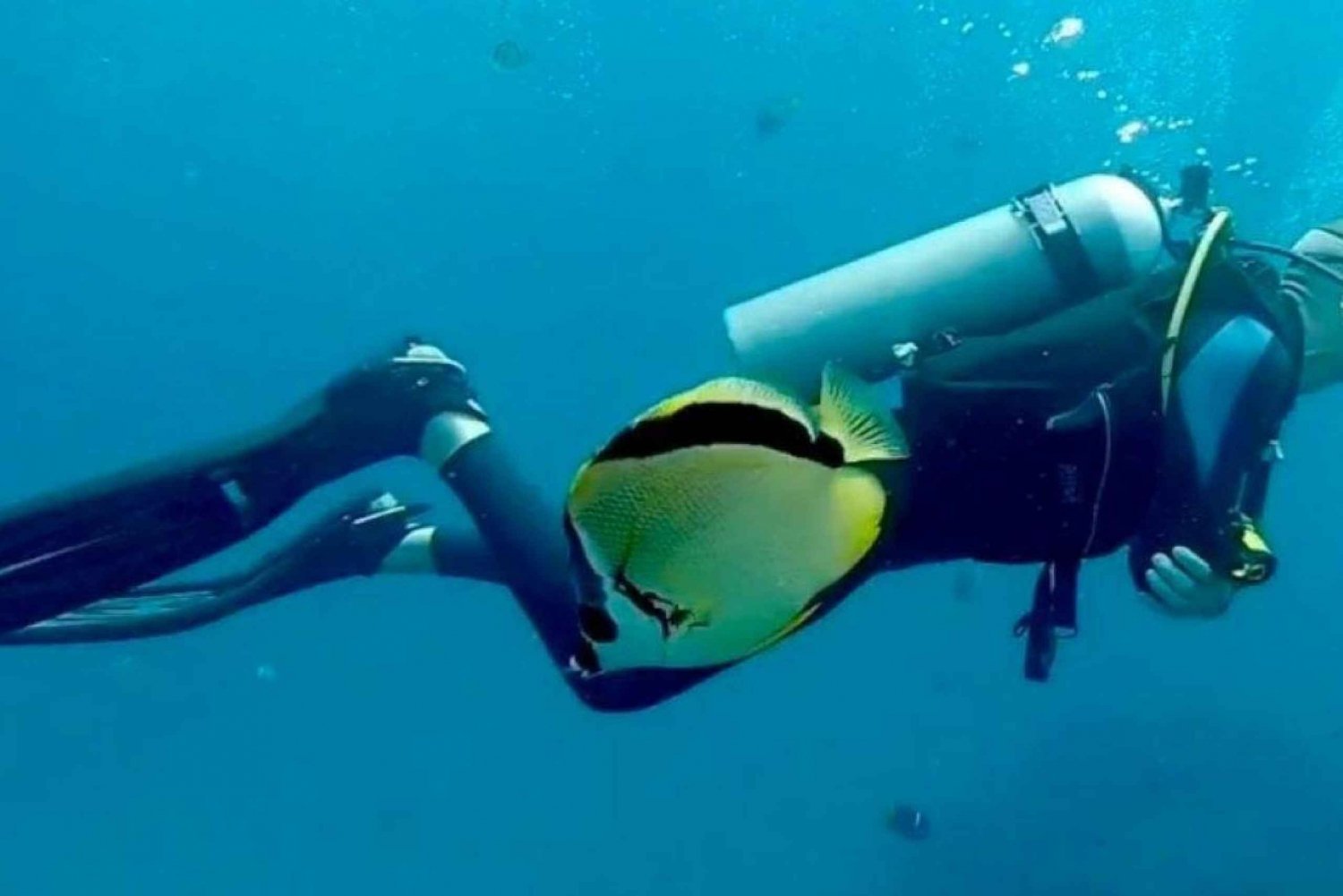 Corredor de Cabo San Lucas: Buceo x2 Tanques