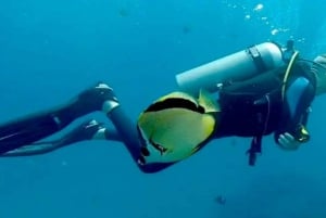 Corredor de Cabo San Lucas: Buceo x2 Tanques