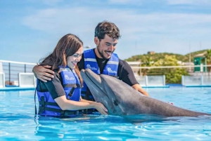 Cabo San Lucas: Dolphin Swim Class with Marine Specialist