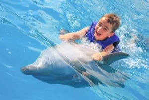 Cabo San Lucas: Dolphin Swim Class with Marine Specialist