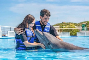 Cabo San Lucas: Dolphin Swim Class with Marine Specialist