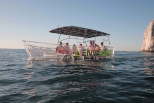 Cabo San Lucas: Glass-Bottom Boat Cruise and Tequila Tasting
