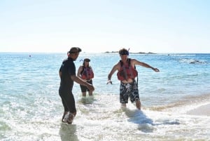 Cabo San Lucas: Guided Snorkeling Tour with Transportation