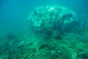 Cabo San Lucas: Guided Snorkeling Tour with Transportation