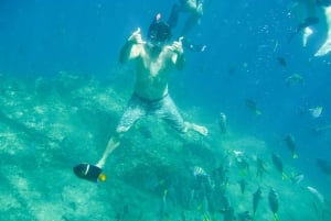 Cabo San Lucas: Guided Snorkeling Tour with Transportation