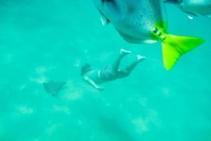 Cabo San Lucas: Guided Snorkeling Tour with Transportation