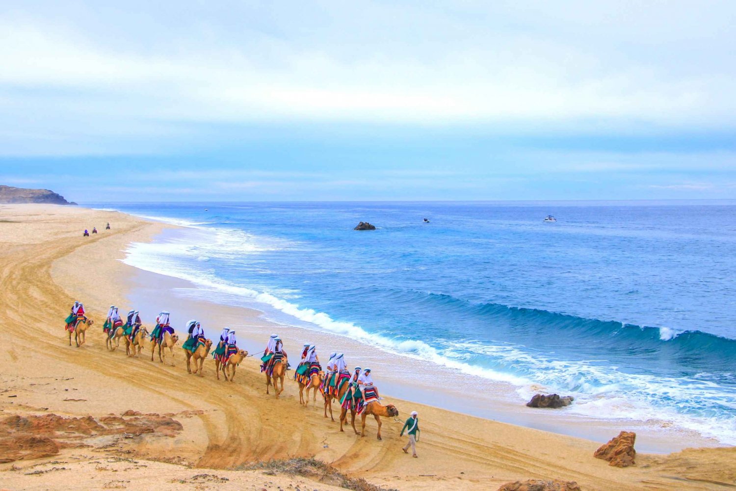 Cabo San Lucas: Guided Tour, Glass-Bottom Boat & Camel Ride