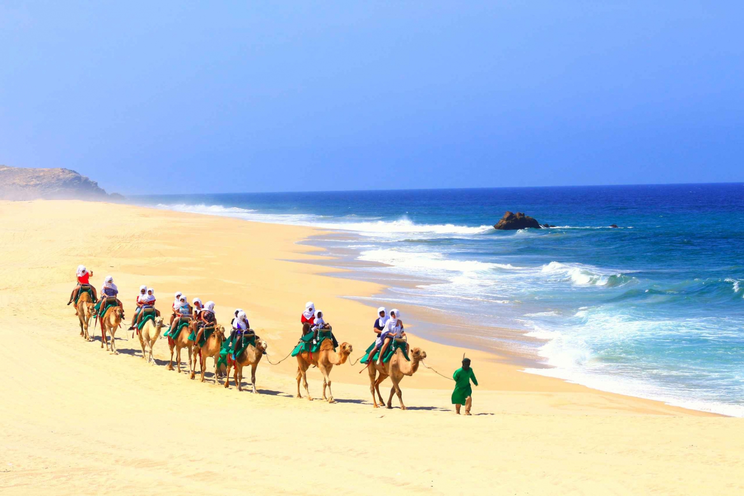 Cabo San Lucas Guided Tour, GlassBottom Boat & Camel Ride in Mexico