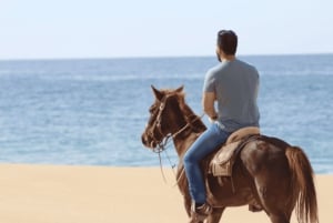 Cabo San Lucas: Aventura a caballo