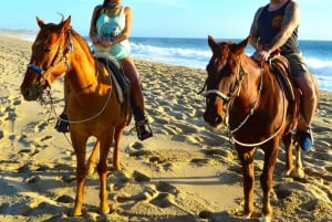 Cabo San Lucas: Aventura a caballo