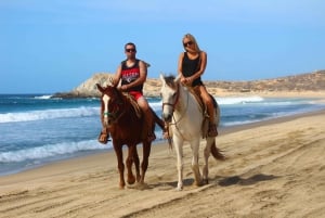 Cabo San Lucas: Cabalgata en Migriño con traslados