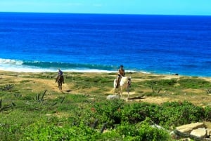 Cabo San Lucas: Cabalgata en Migriño con traslados