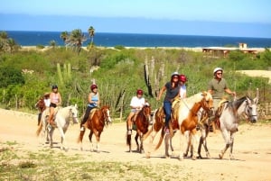 Cabo San Lucas: Cabalgata en Migriño con traslados