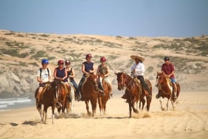 Cabo San Lucas: Cabalgata en Migriño con traslados