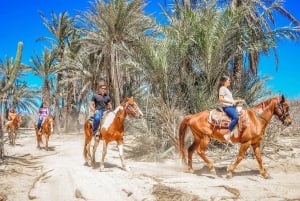 Cabo San Lucas: Cabalgata en Migriño con traslados