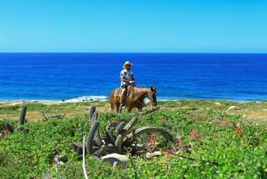 Cabo San Lucas: Cabalgata en Migriño con traslados