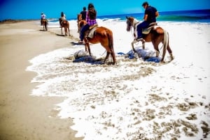 Cabo San Lucas: Experiencia de montar a caballo en la playa