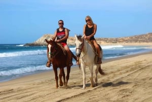 Cabo San Lucas: Experiencia de montar a caballo en la playa