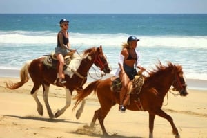 Cabo San Lucas: Experiencia de montar a caballo en la playa