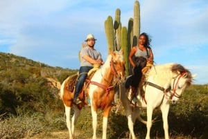 Cabo San Lucas: Experiencia de montar a caballo en la playa