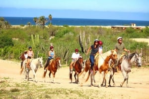 Cabo San Lucas: Experiencia de montar a caballo en la playa