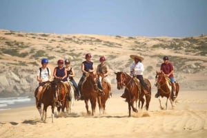 Cabo San Lucas: Experiencia de montar a caballo en la playa