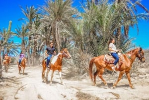 Cabo San Lucas: Experiencia de montar a caballo en la playa