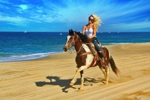 Cabo San Lucas: Paseos a Caballo en la Playa