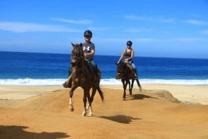 Cabo San Lucas: Paseos a Caballo en la Playa